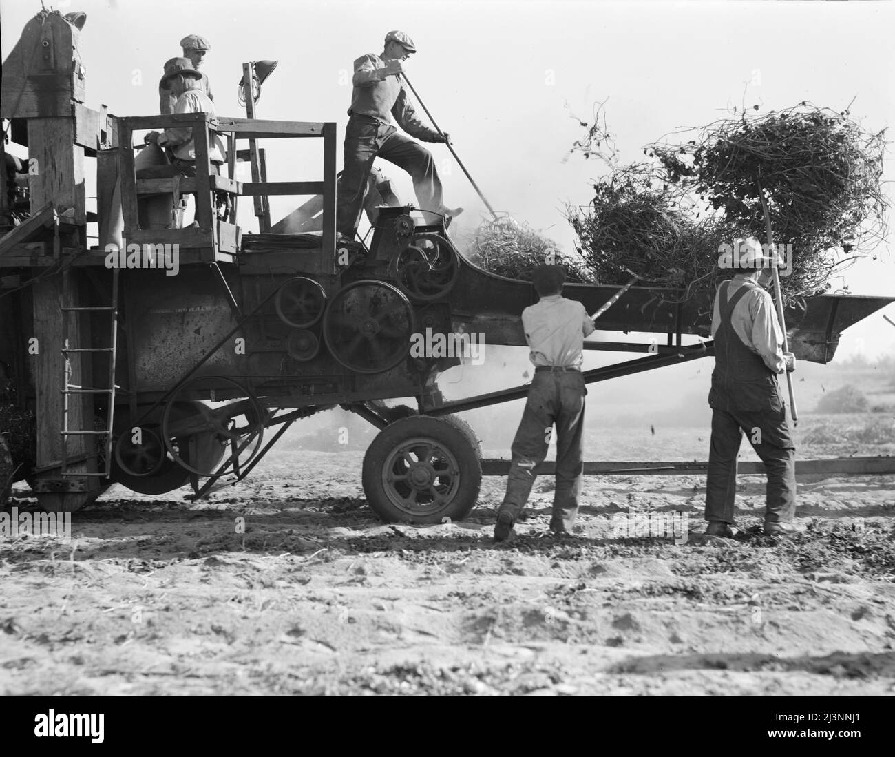 Bean thresher. Mechanized agriculture between Turlock and Merced