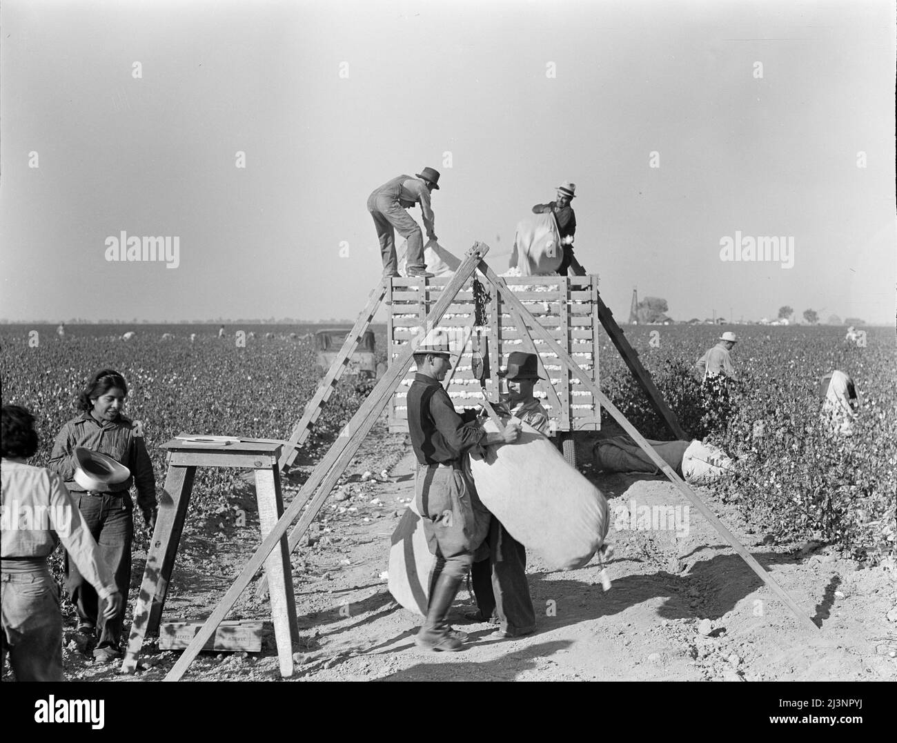 Sack Scales Black And White Stock Photos Images Alamy