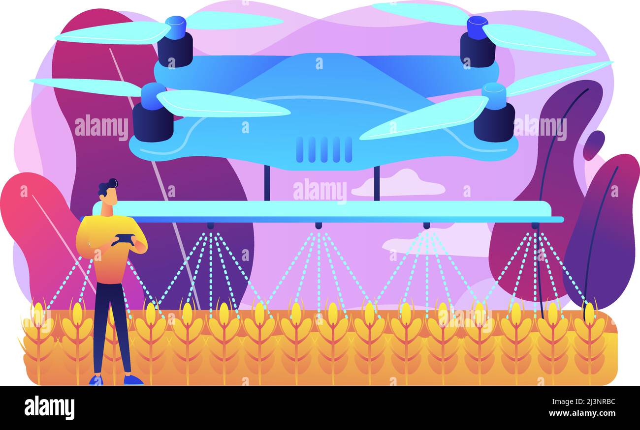 Smart farmer controlling agriculture drone spraying or watering crops ...