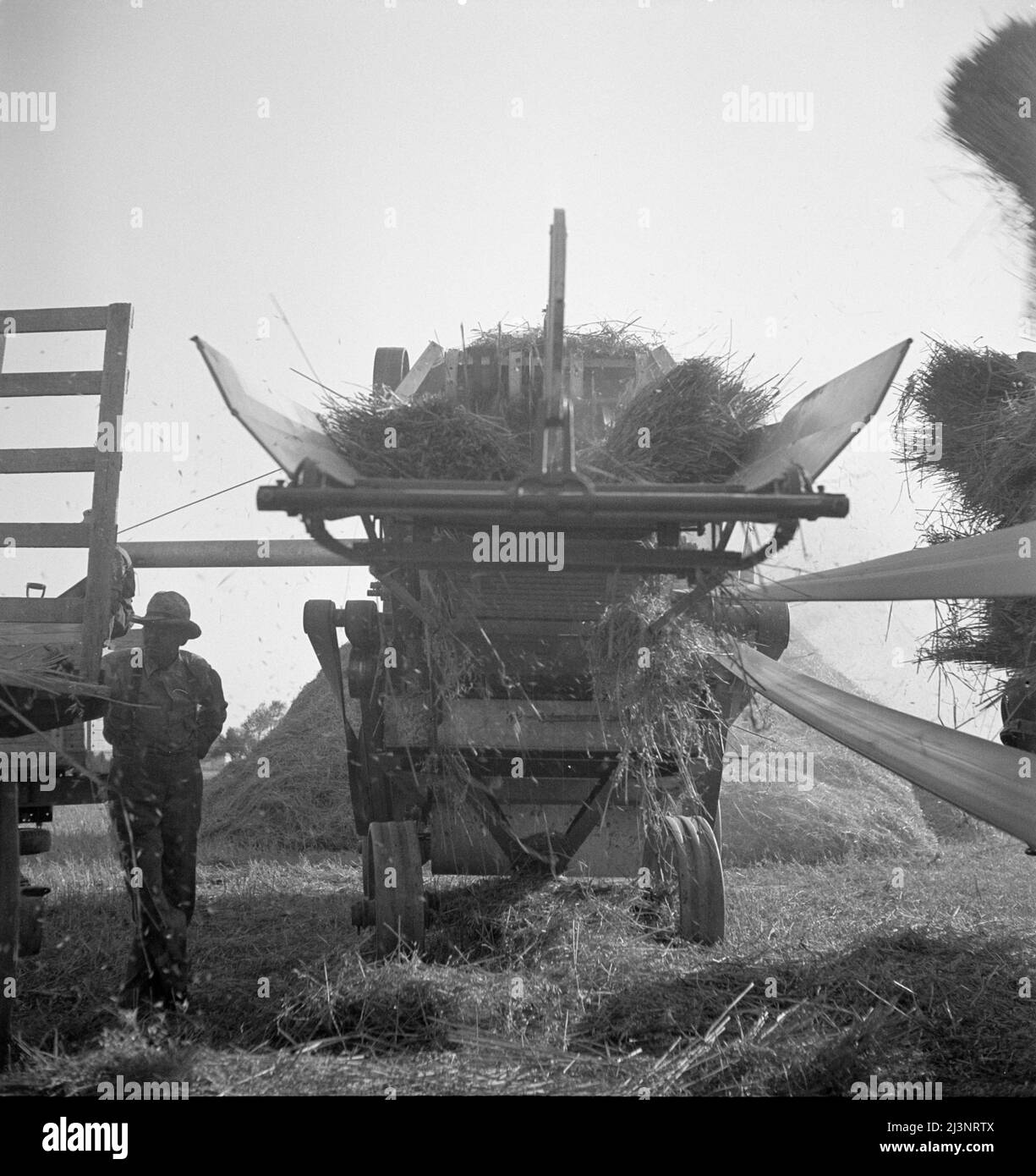 The threshing of oats. Clayton, Indiana, south of Indianapolis Stock