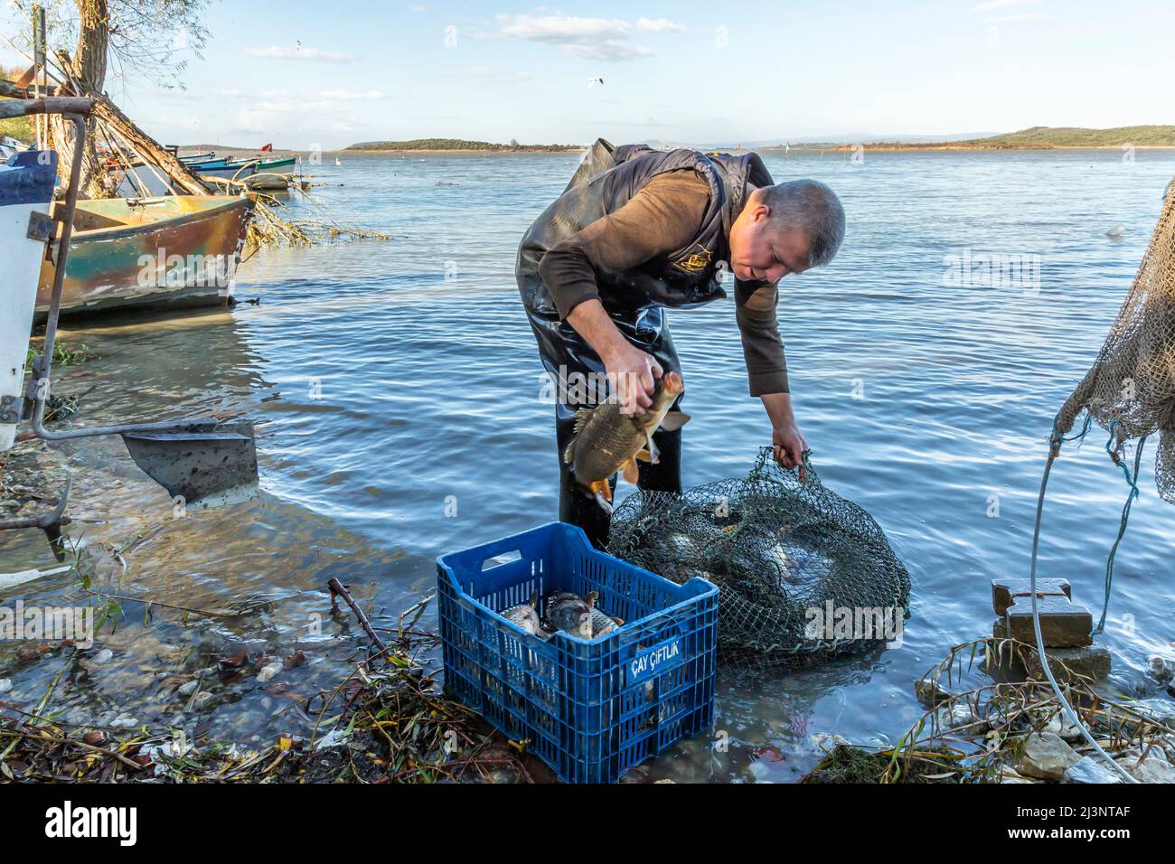 Gölyazı fisheries sell their caught fish at auction Stock Photo Alamy