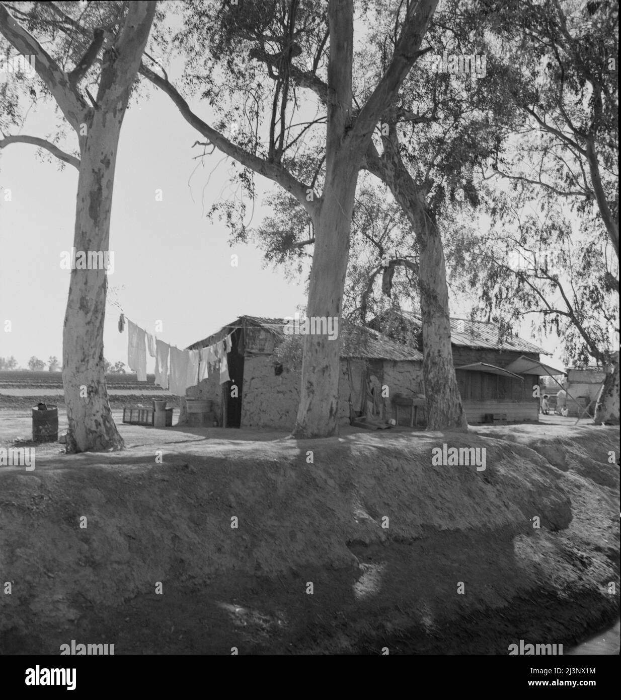 Ditch bank housing for Mexican field workers. Imperial Valley