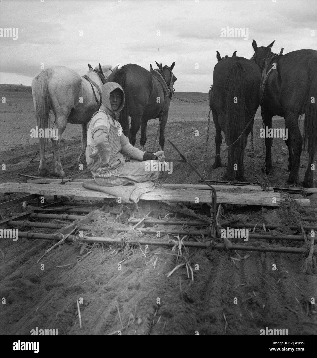 West Texas tenant farmer