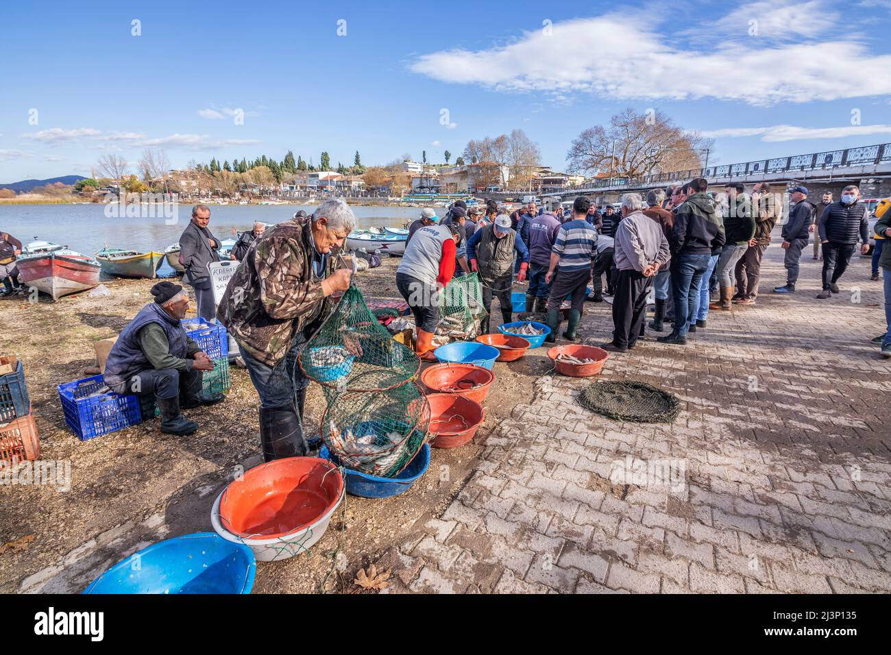 Gölyazı fisheries sell their caught fish at auction Stock Photo Alamy