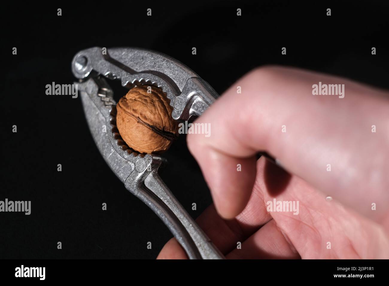 Walnuts on a dark background. Nutcracker close-up. Stock Photo