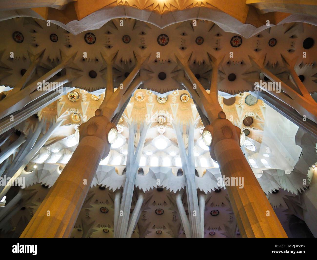 Europe, Spain, Barcelona, Sagrada Familia, Interior, Interiors, Gaudi ...