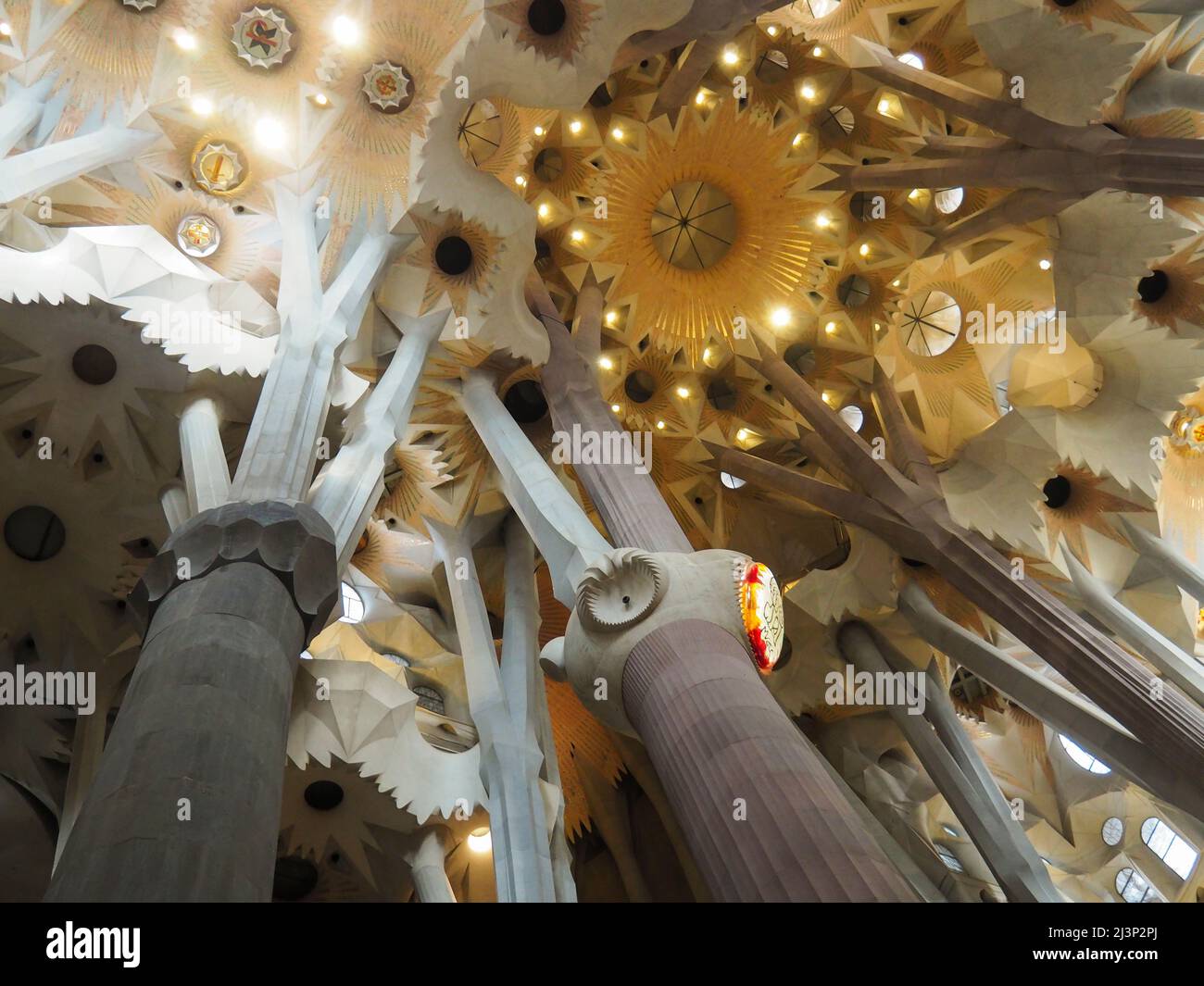 Europe, Spain, Barcelona, Sagrada Familia, Interior, Interiors, Gaudi ...