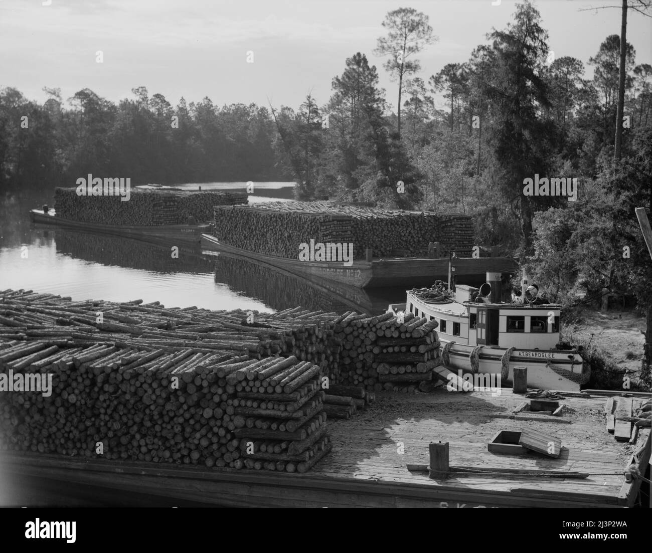 Pulpwood going down the River Styx to Mobile by inland waterway. Near Robertsdale, Alabama. Stock Photo