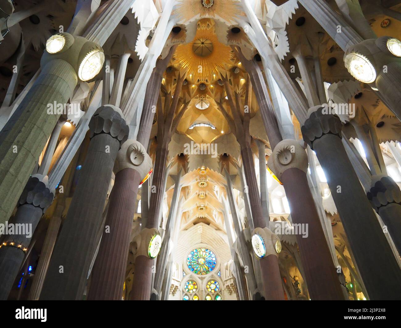 Europe, Spain, Barcelona, Sagrada Familia, Interior, Interiors, Gaudi ...