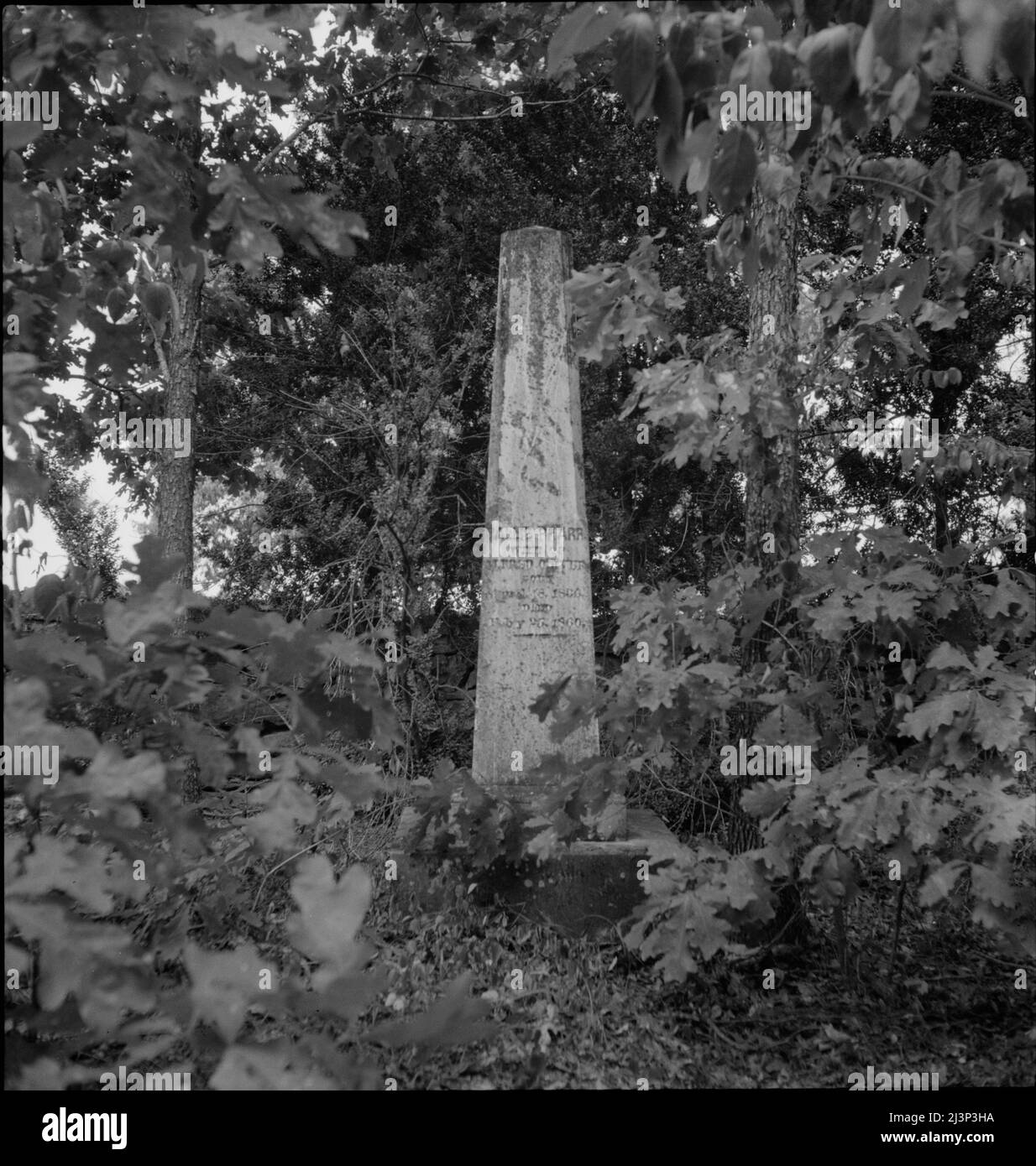 Pharr plantation hires stock photography and images Alamy