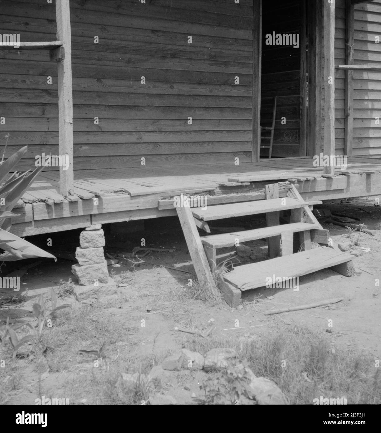 Home of a Greene County, fieldhand Stock Photo Alamy