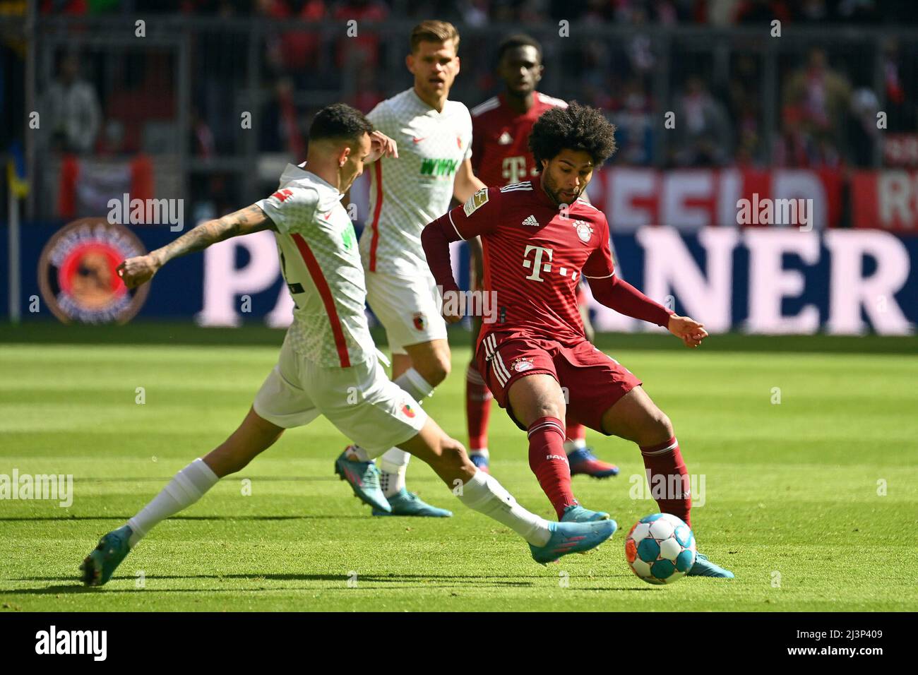 Florian NIEDERLECHNER (FC Augsburg), action, duels versus Amaral Borduchi IAGO (FC Augsburg) football 1st Bundesliga season 2021/2022, 29th matchday, matchday29. FC Bayern Munich - FC Augsburg on April 9th, 2022, ALLIANZARENA Munich. Stock Photo