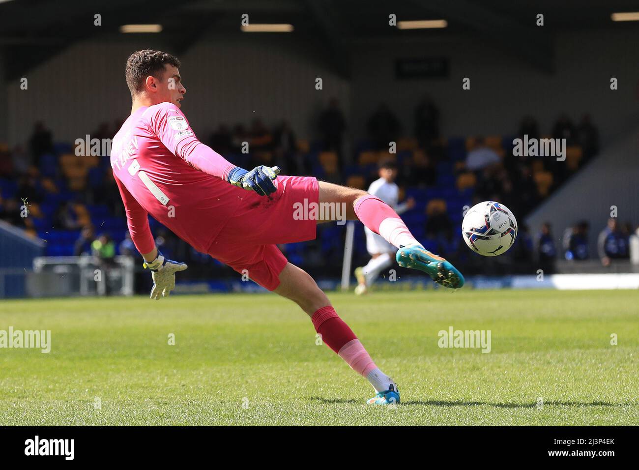 Nik Tzanev 1 of AFC Wimbledon in action Stock Photo Alamy