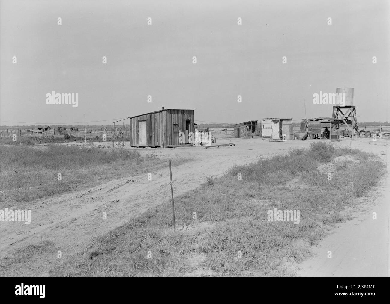 Home of rural rehabilitation client. Tulare County, California. They bought twenty acres of raw unimproved land with a first payment of fifty dollars which was money saved out of relief budget (August 1936). They received a FSA (Farm Security Administration) loan of seven hundred dollars for stock and equipment. Now they have a one-room shack, seven cows, three sows, and homemade pumping plant, along with ten acres of improved permanent pasture. Cream check approximately thirty dollars a month. Husband also works about ten days a month on odd jobs outside the farm. Husband is twenty-six years Stock Photo