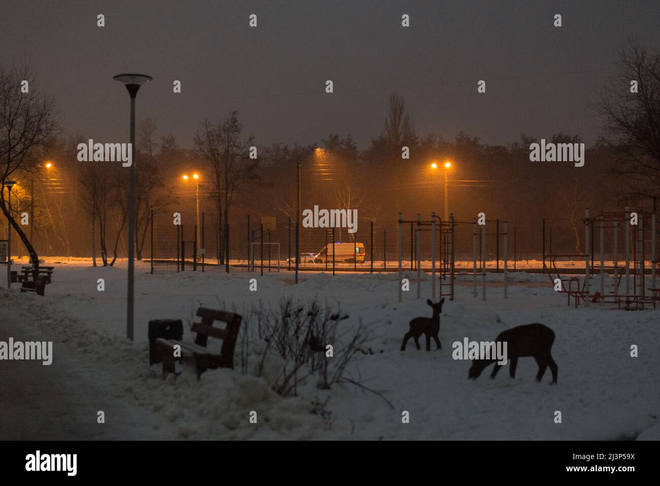 Road defocused light night tree hi-res stock photography and images - Alamy