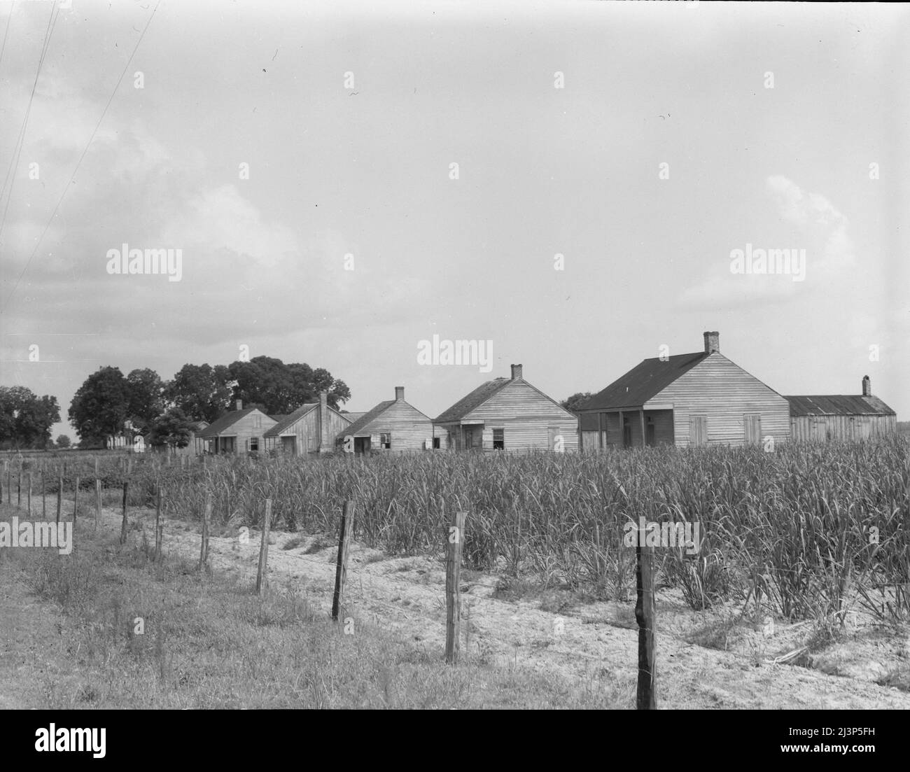 Cabins for sugarcane workers. Bayou La Fourche, Louisiana. Stock Photo