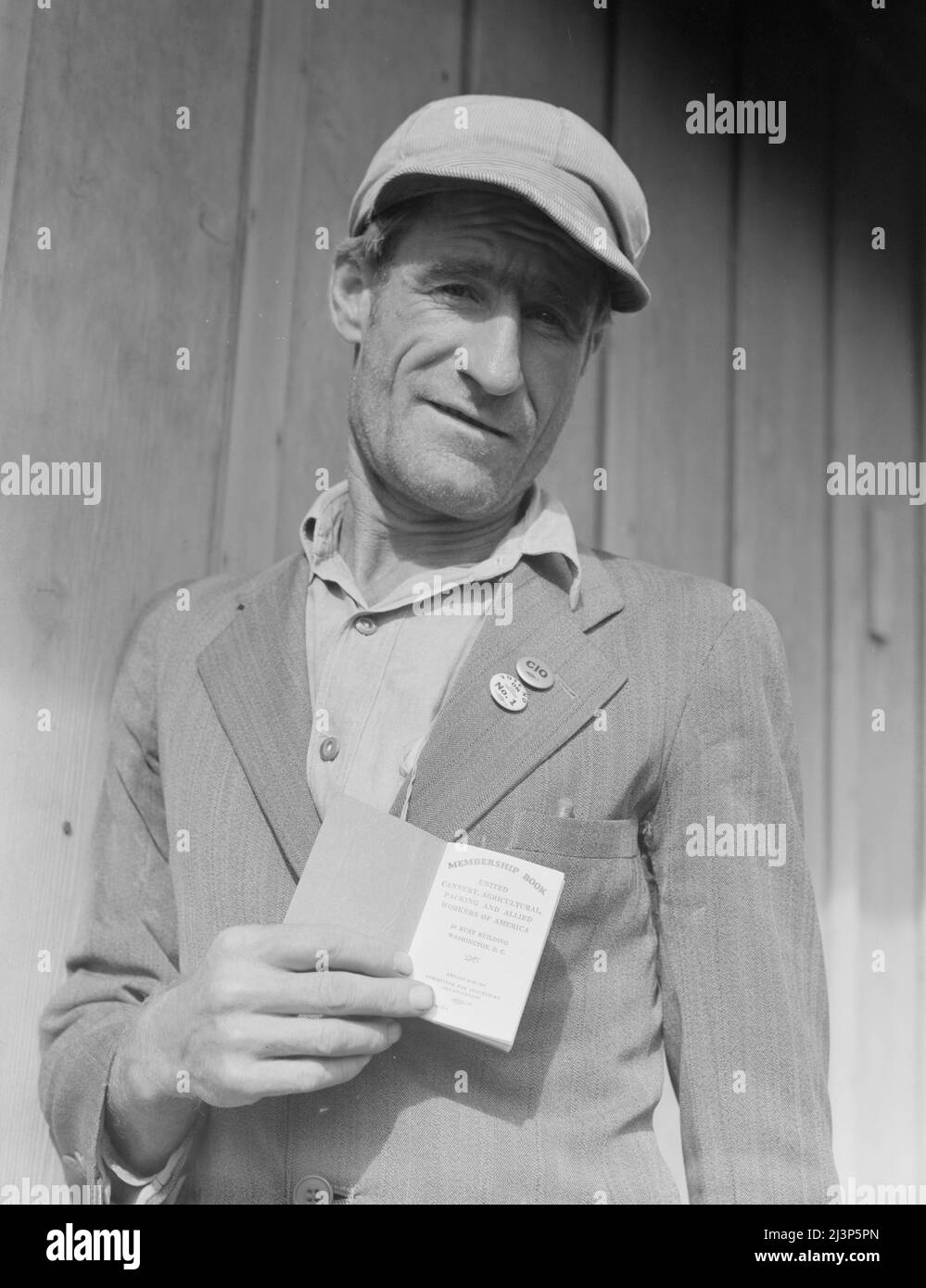 From Oklahoma farm (April 1938) to strike leader in California. Cotton strike (Nov. 1938). He displays his union membership book. &quot;Vote No on No. 1&quot; refers to proposed anti-picketing law which was later defeated by California electorate. Kern County, California. [He belongs to the United Cannery, Agricultural, Packing, and Allied Workers of America]. Stock Photo