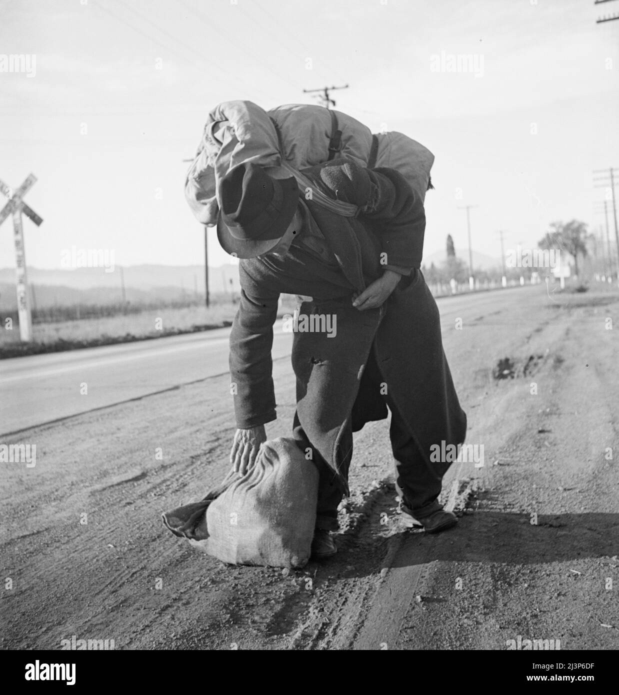 Napa Valley, California. More than twenty-five years a bindle-stiff. Walks from the mines to the lumber camps to the farms. The type that formed the backbone of the Industrial Workers of the World in California before the war. Stock Photo