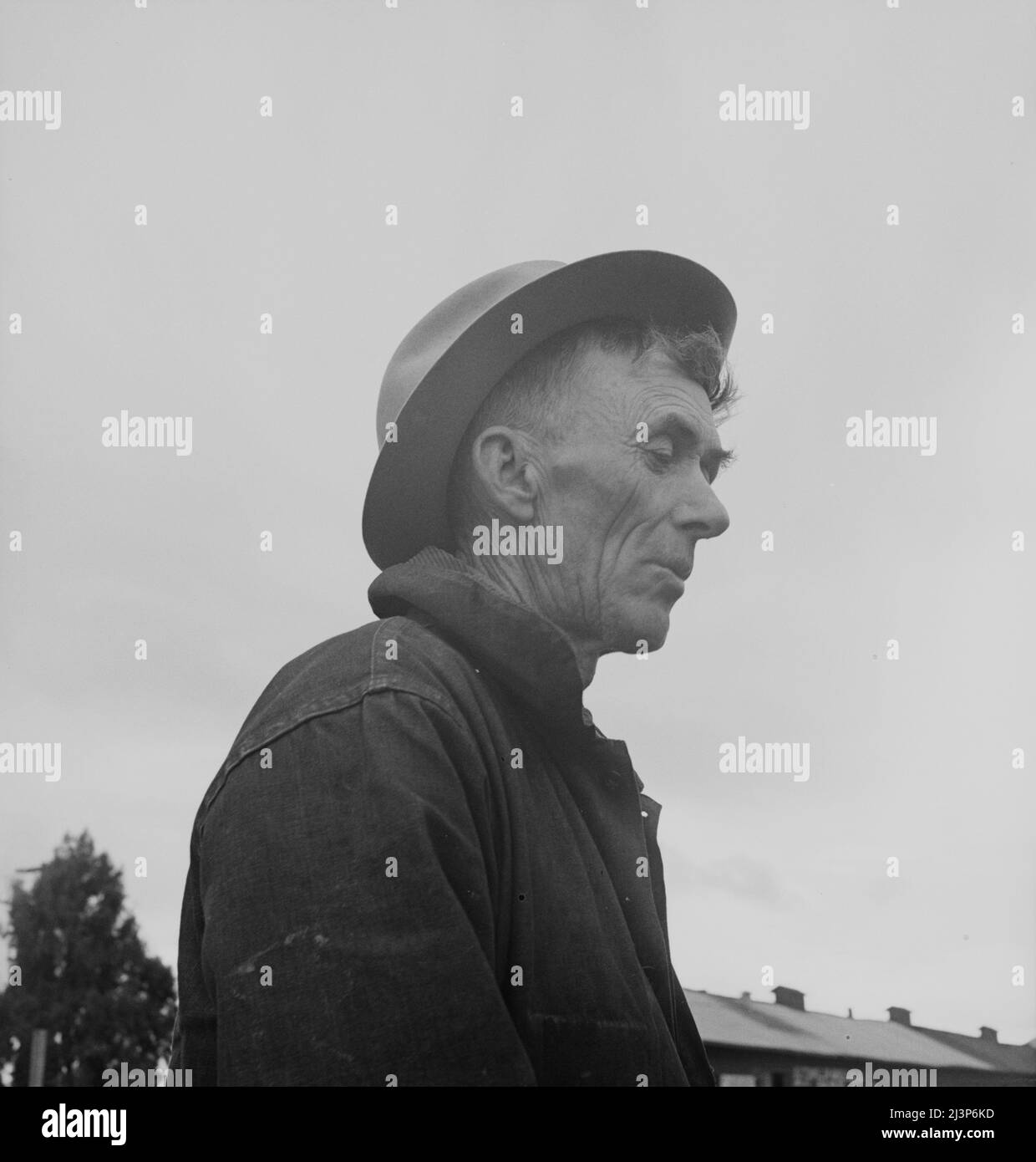 Buttonwillow, Kern County, California. On the land since the cattle days of Miller and Lux. Now