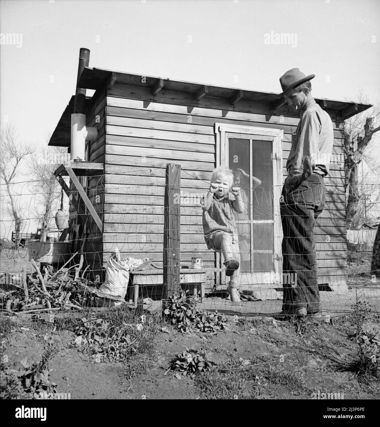 Madera County, family from near Dallas, Texas. Rent is five dollars a month. &quot;There's no future here. I've been following the work (migratory labor) but there's no chance for a fellow to get a holt hisself in this country. The last job I had is tractor driving for thirty-five cents an hour. Had that job for five months until a Filipino comes along for twenty-five cents an hour. I was raised on a cotton farm my father owned a little place back there and I'm plumb willing to leave this country for good before I get too old, If I could get the chance to farm.&quot;. Stock Photo