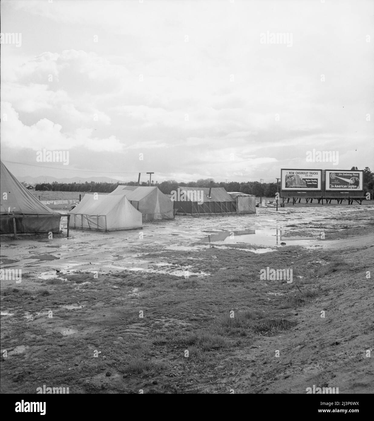 Near Lindsay, California. Citrus workers in winter quarters. (Tulare County). [Signs: 'New Chevrolet Trucks for 1939 - Higher Quality - Lower Prices'; ...'for Enduring Peace - The American Legion - 20th Anniversary']. Stock Photo