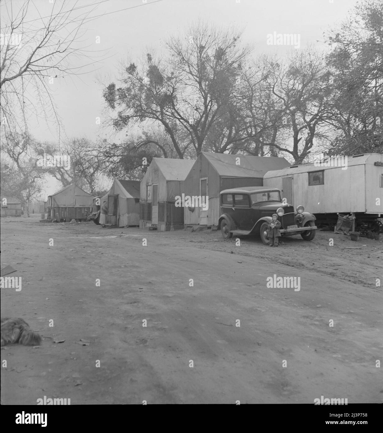 Near Brentwood, California. Winter quarters of migrants. Agricultural laborers. Stock Photo