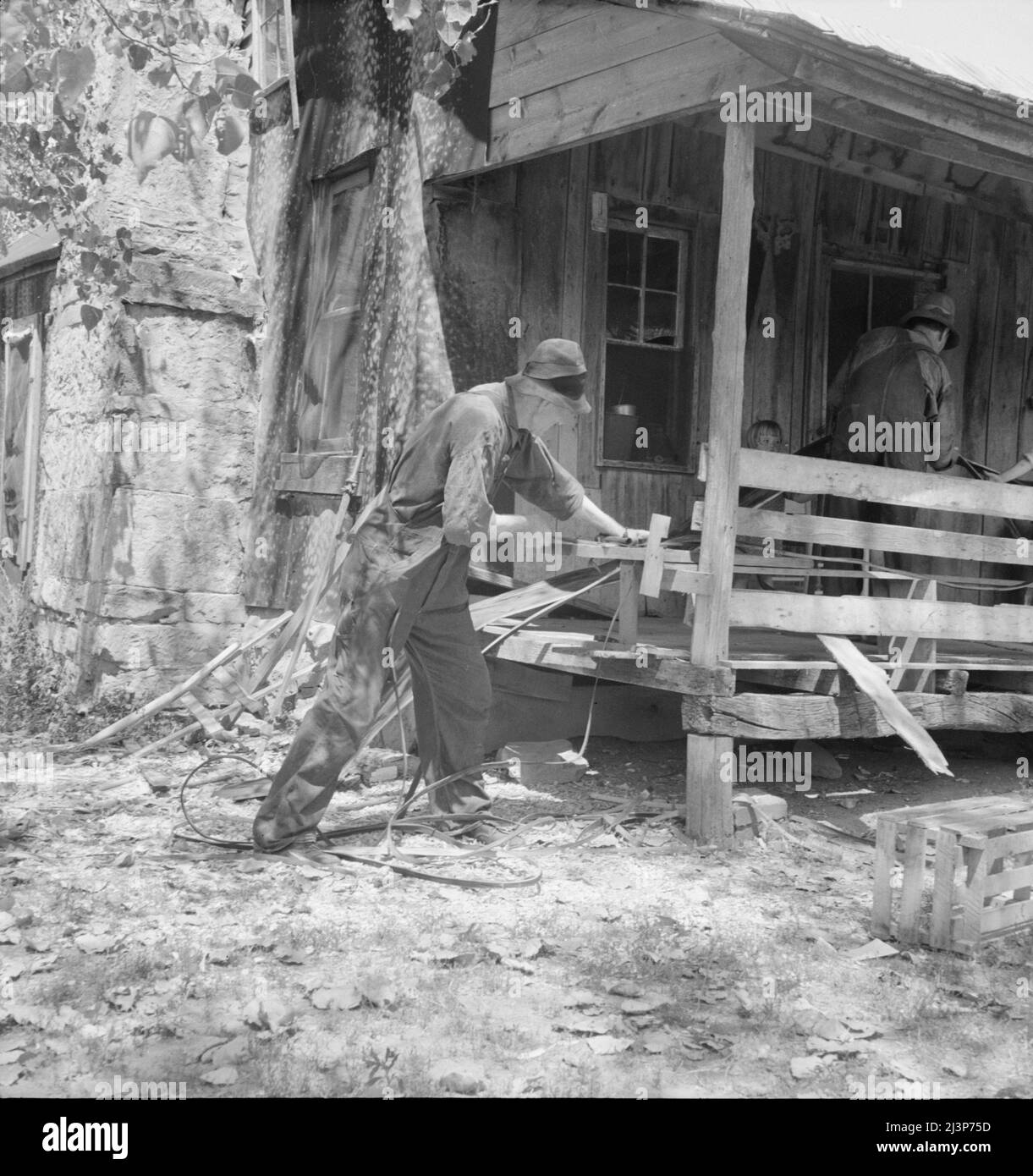 In Arkansas Hills (Ozarks) near Seligman, Missouri, splitting hickory for chair-bottoms. His father before him and his son after him make furniture for a living. Stock Photo