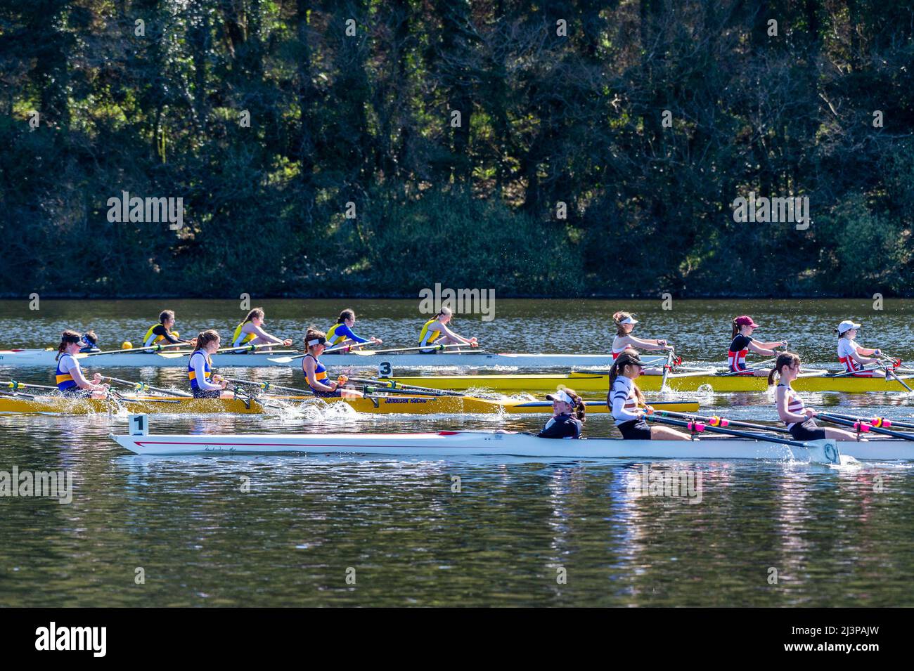 Drinagh, West Cork, Ireland. 9th Apr, 2022. Skibbereen Rowing Club held a 1km regatta on Drinagh lake today. Clubs attended from across Munster on what was a very sunny and warm day. The racing was very close throughout the day. Credit: AG News/Alamy Live News Stock Photo