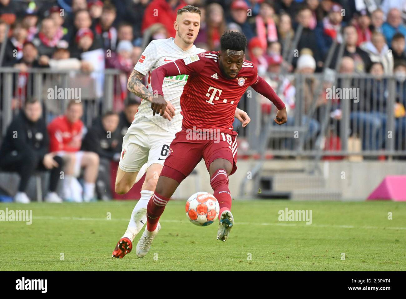 Alphonso DAVIES (FC Bayern Munich), action, duels versus Jeffrey GOUWELEEUW (Augsburg). Football 1st Bundesliga season 2021/2022, 29.matchday, matchday29. FC Bayern Munich - FC Augsburg 1-0 on April 9th, 2022, ALLIANZARENA Munich. Stock Photo