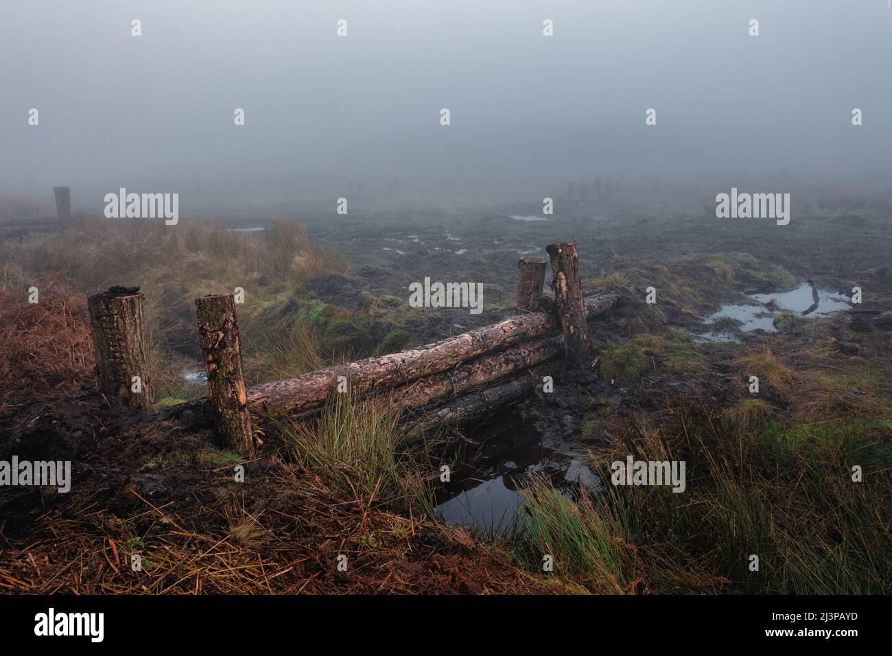 Barriers installed to block the drainage ditches on Ilkley Moor to regenerate the peat bogs and sphagnum moss, West Yorkshire, England, UK Stock Photo