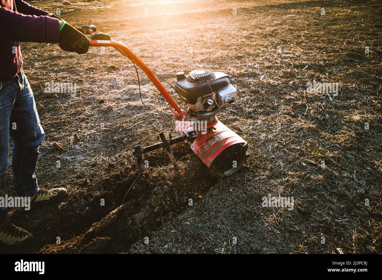 man cultivates the ground in the garden with a tiller preparing the