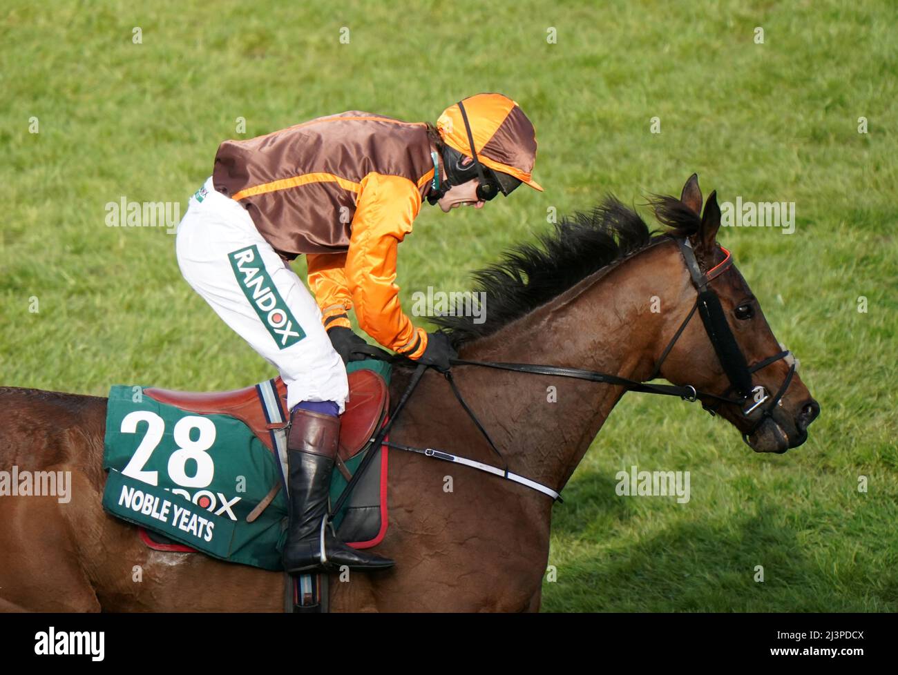 Noble Yeats ridden by Sam Waley-Cohen celebrates winning the Randox Grand National Handicap Chase during Grand National Day of the Randox Health Grand National Festival 2022 at Aintree Racecourse, Liverpool. Picture date: Saturday April 9, 2022. Stock Photo