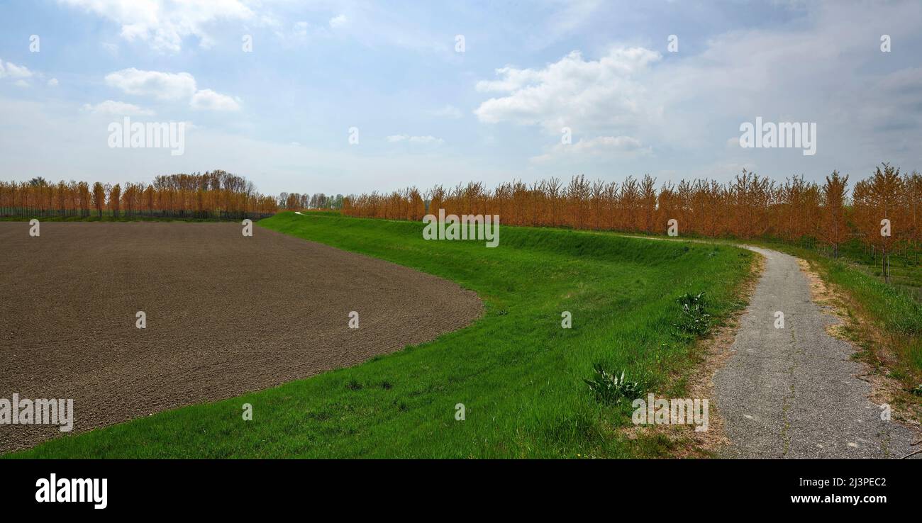 Guastalla (Mn)Italy, a landscape with the becycle lane  in the floodplain of the river Po Stock Photo