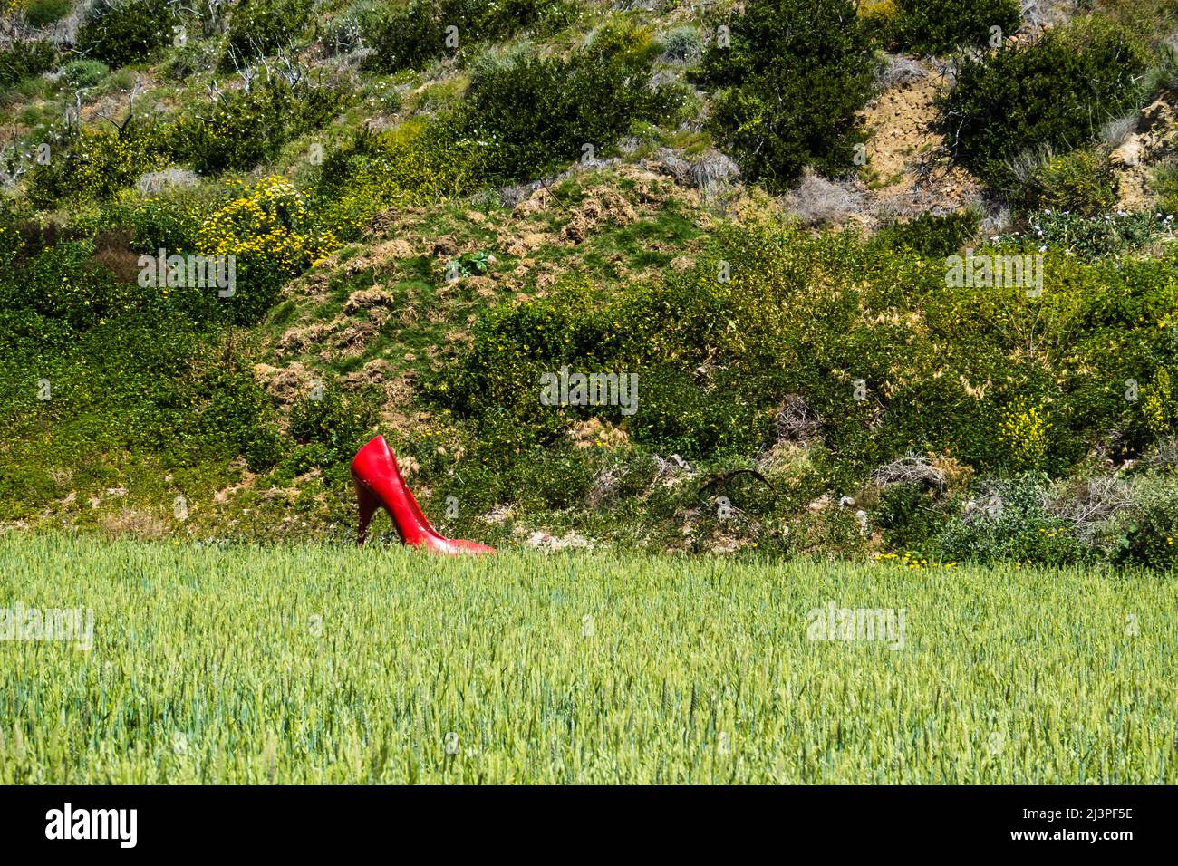 A red, larger than life, stiletto heel woman's shoe art installation in an agrarian landscape in Santa Barbara County, California. Stock Photo