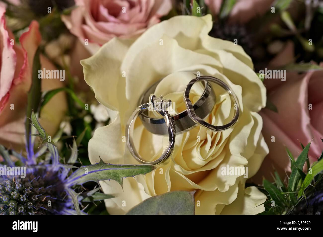 White Gold and Diamond Wedding and Engagement Rings on White and Pink Rose Bouquet Stock Photo
