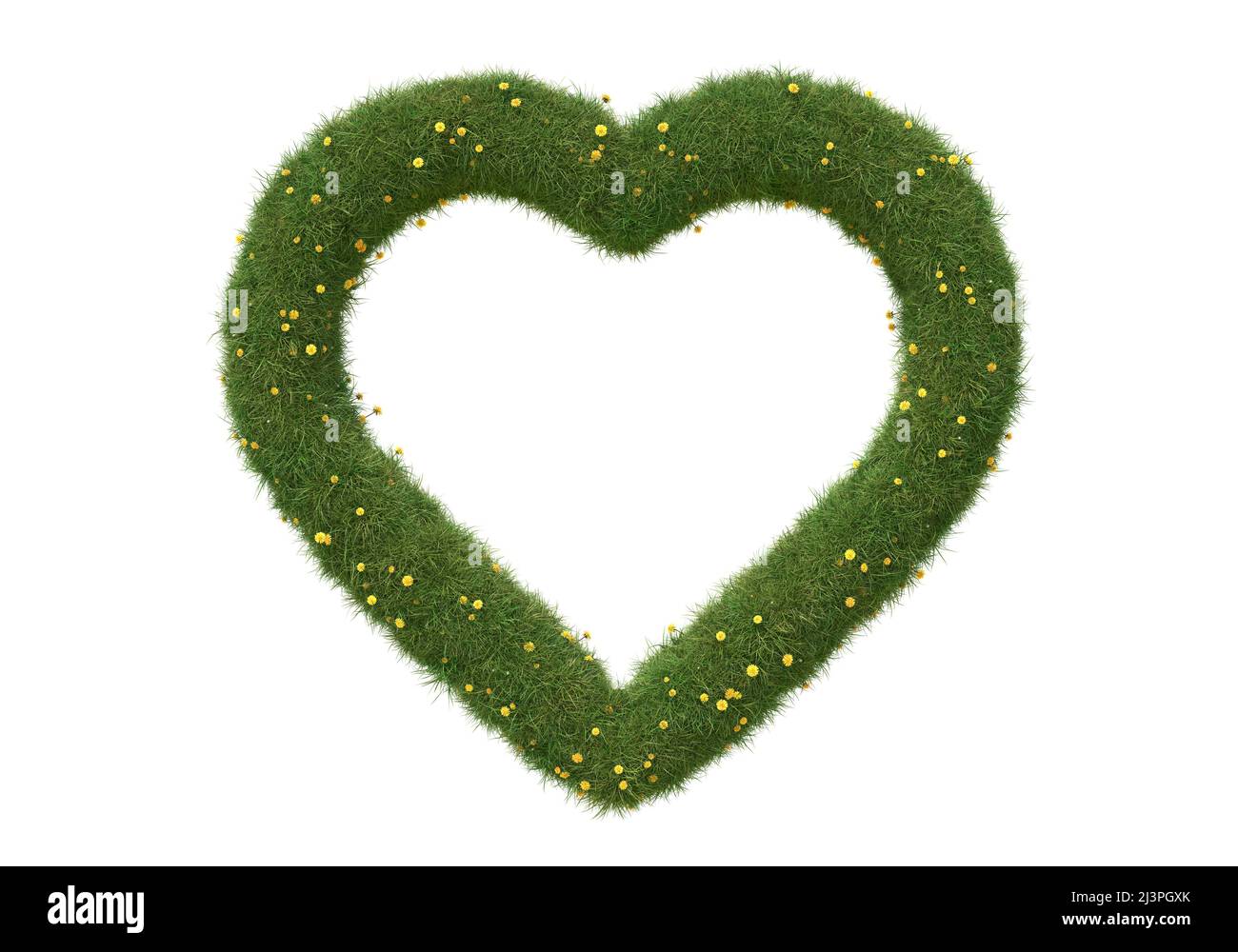 Heart shape frame made of grass and dandelions, isolated on white. 3D image Stock Photo