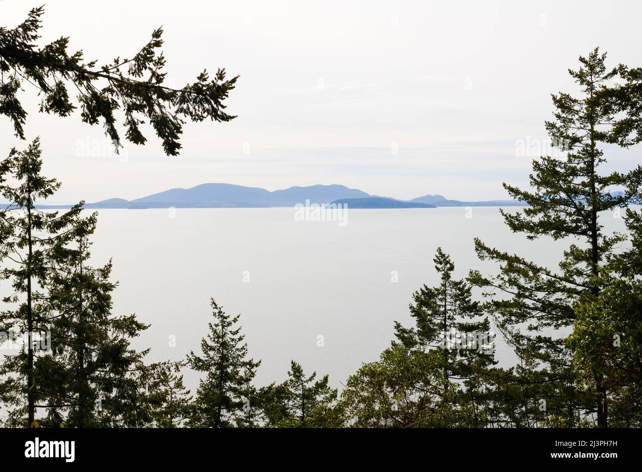 Fir trees in the foreground frame the San Juan Islands in Washington State in the background Stock Photo