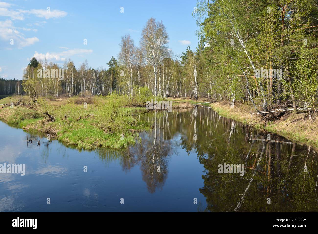 Meshchersky park hi-res stock photography and images - Alamy