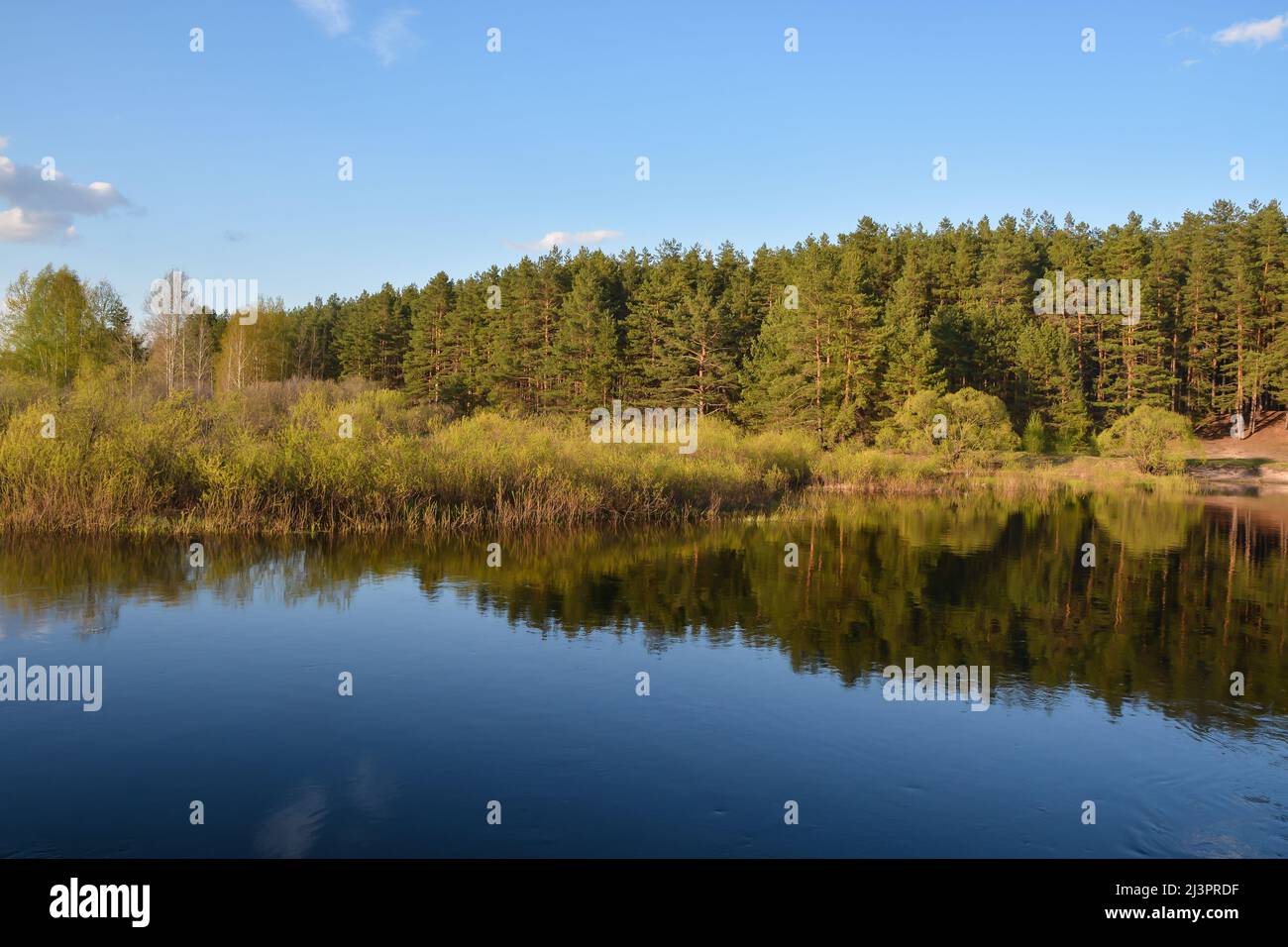 Meshchersky park hi-res stock photography and images - Alamy