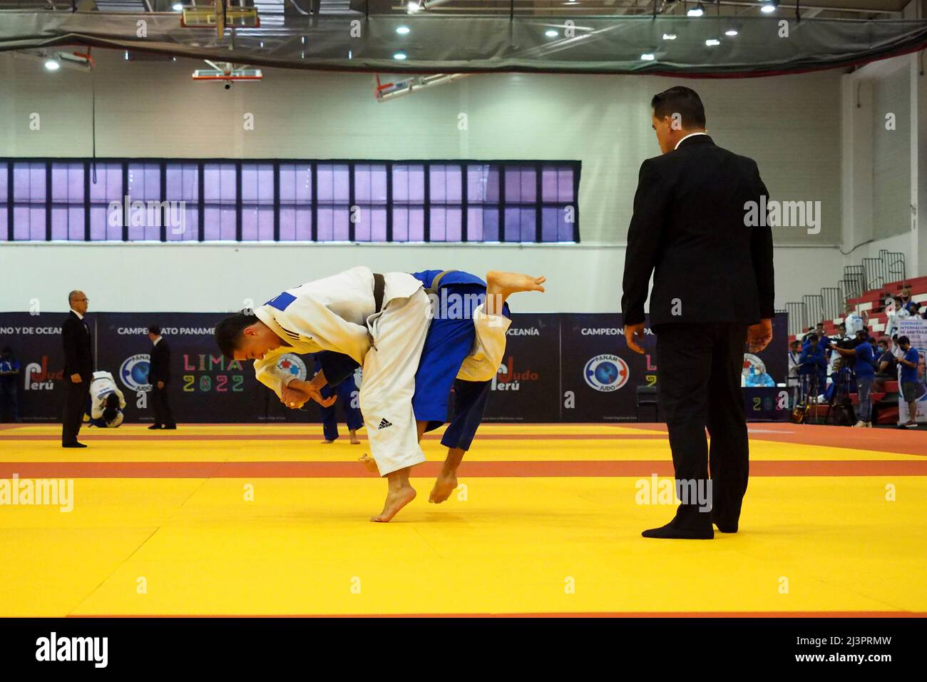Argentina's Path to the Silver Medal