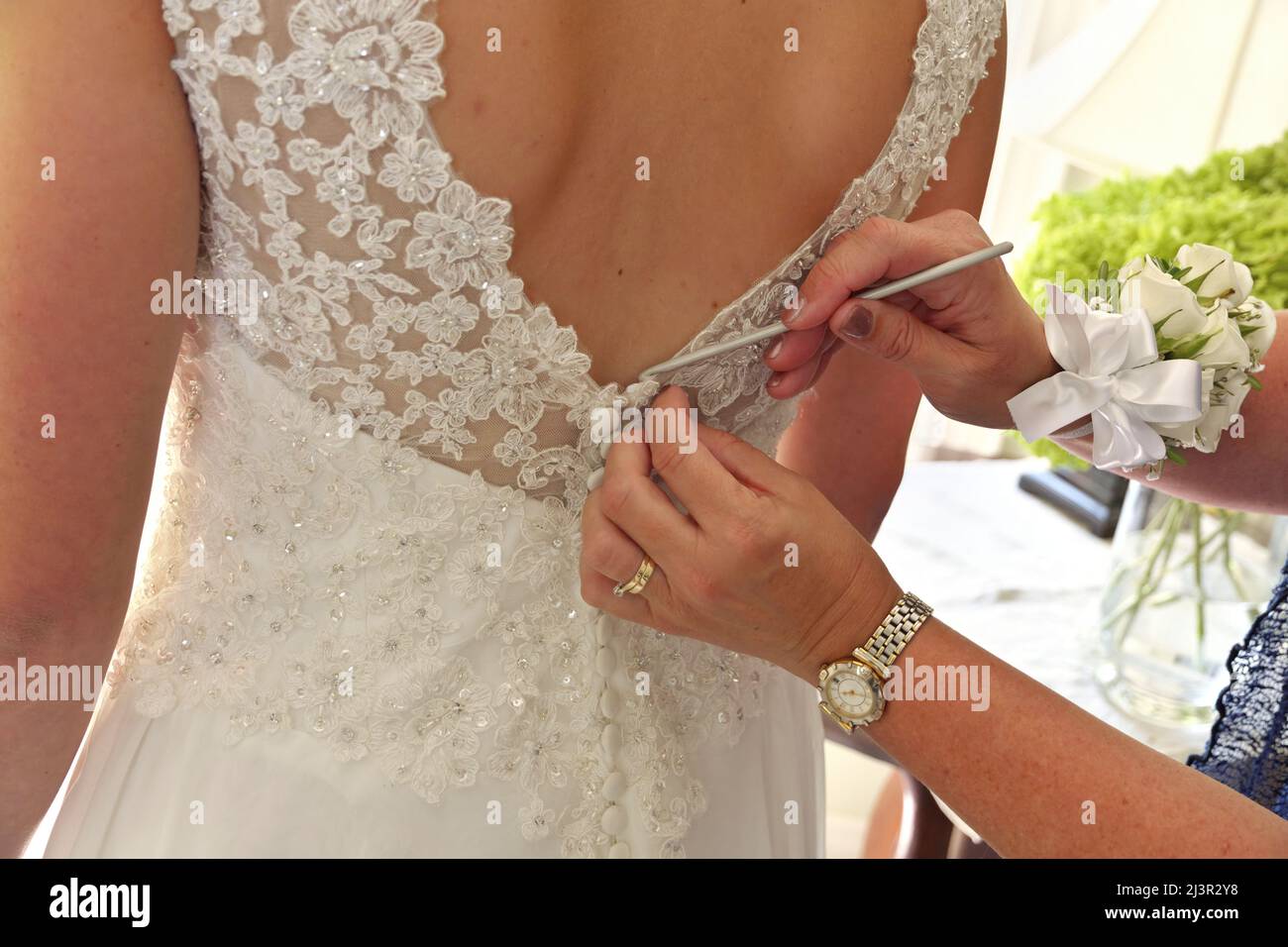 Close up of Hands Doing Final Buttoning of Bride's Wedding Dress Stock Photo