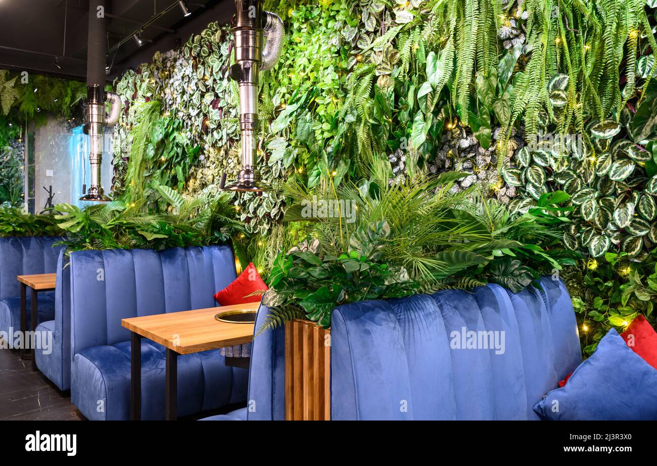 Moscow - Dec 17, 2021: Vertical garden in restaurant interior, wall with natural green plants, landscaping inside modern cafe. Cozy eco design indoor, Stock Photo
