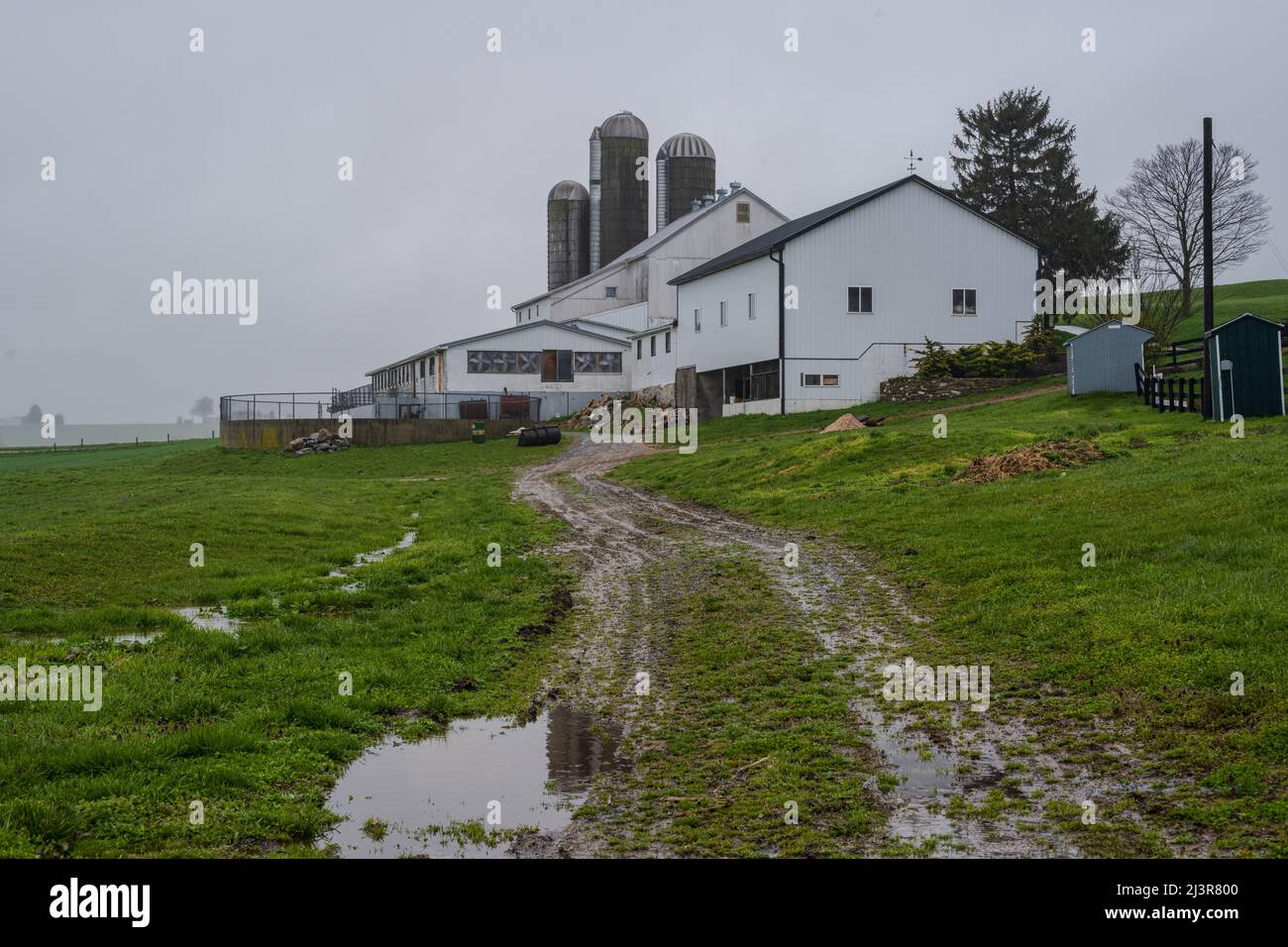 A horizontal photo of a barn and silos in the Amish Country of Lancaster County PA Stock Photo