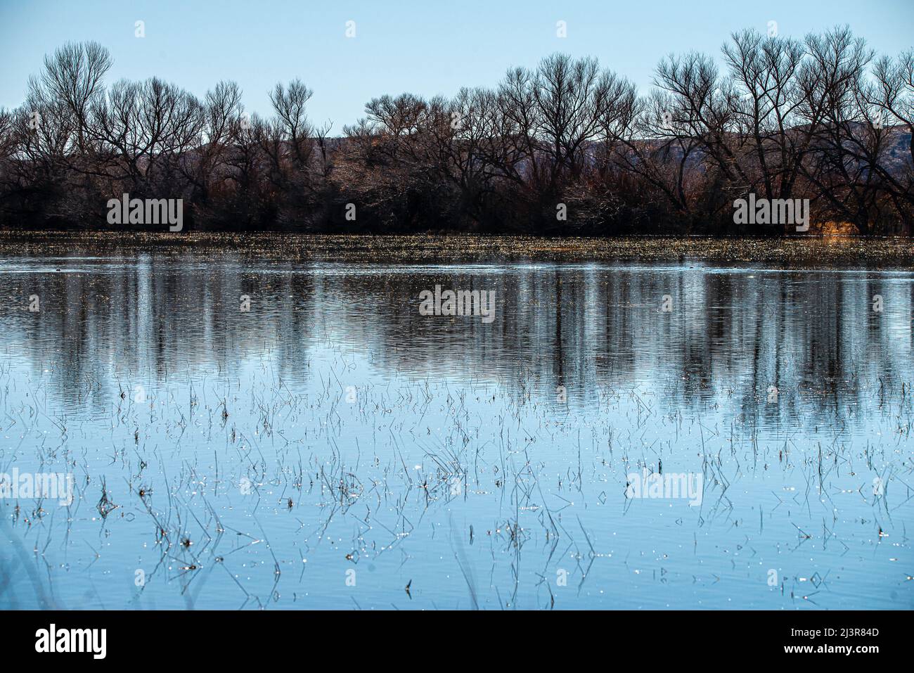 Bosque del apache desert hi-res stock photography and images - Alamy