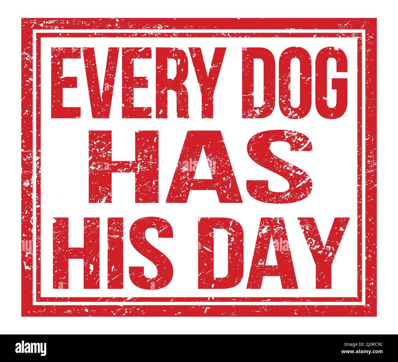 EVERY DOG HAS HIS DAY, written on orange grungy stamp sign Stock