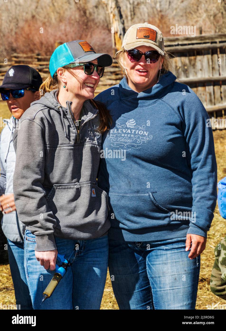 Friends reunite at a spring branding event on the Hutchinson Ranch near Salida: Colorado; USA Stock Photo