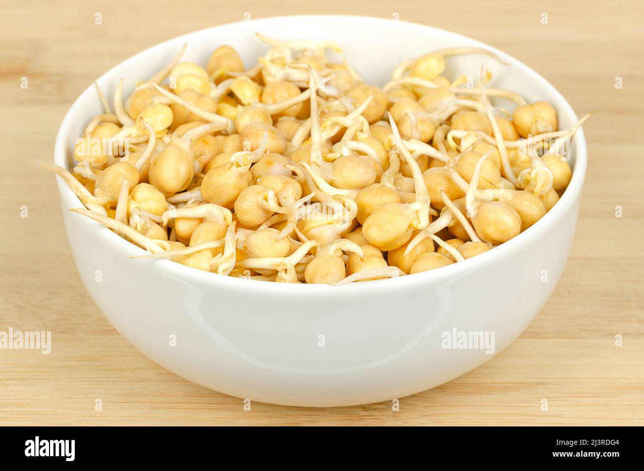 Chickpea sprouts, in a white bowl, on a bamboo board. Raw and fresh, ready to eat, sprouted chickpea seeds. Cicer arietinum. Stock Photo