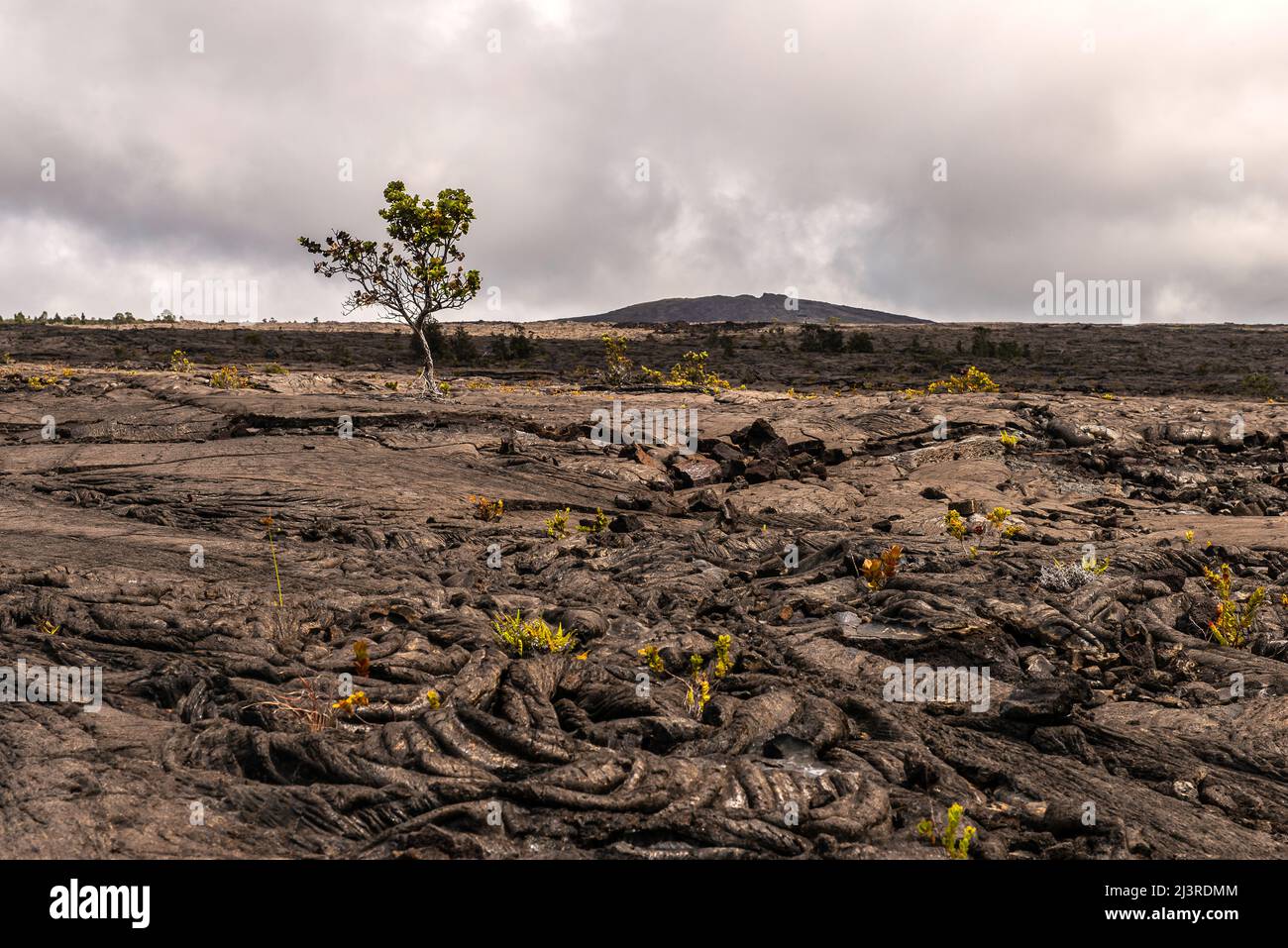 The Big Island of Hawaii, USA Stock Photo Alamy