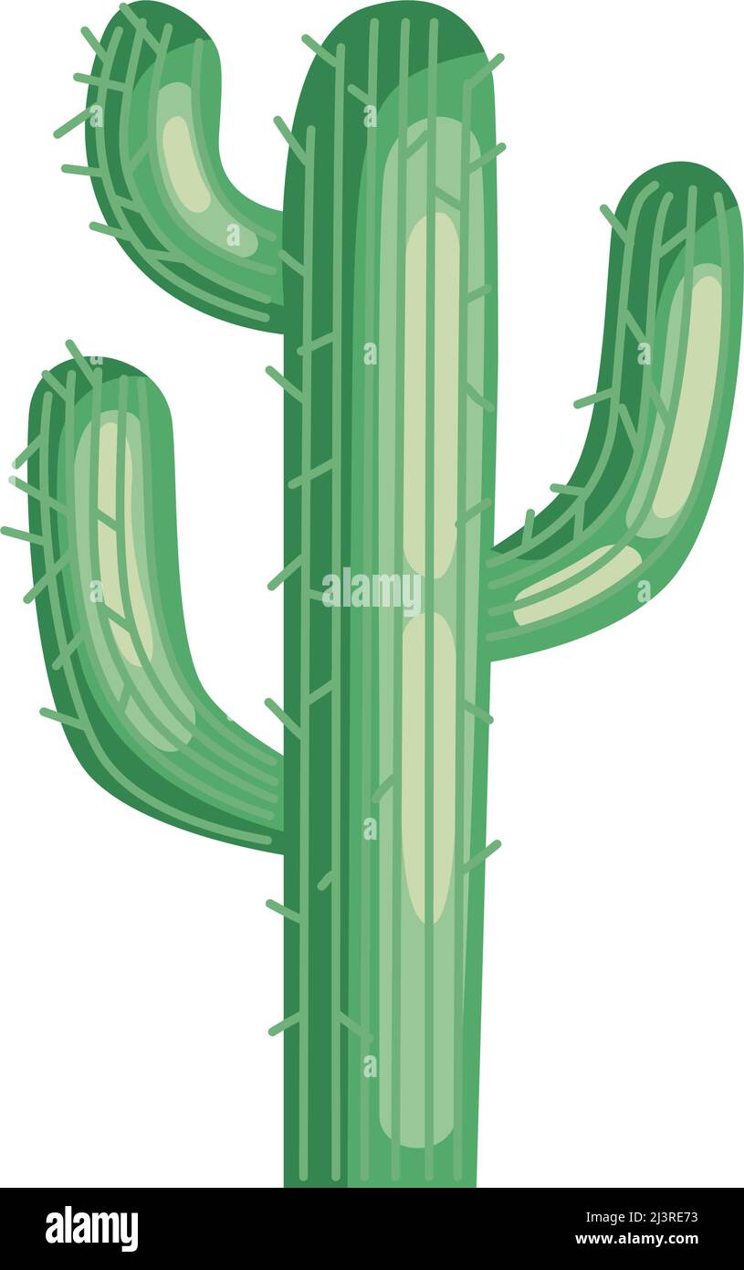 green cactu plant desert icon Stock Vector Image & Art - Alamy