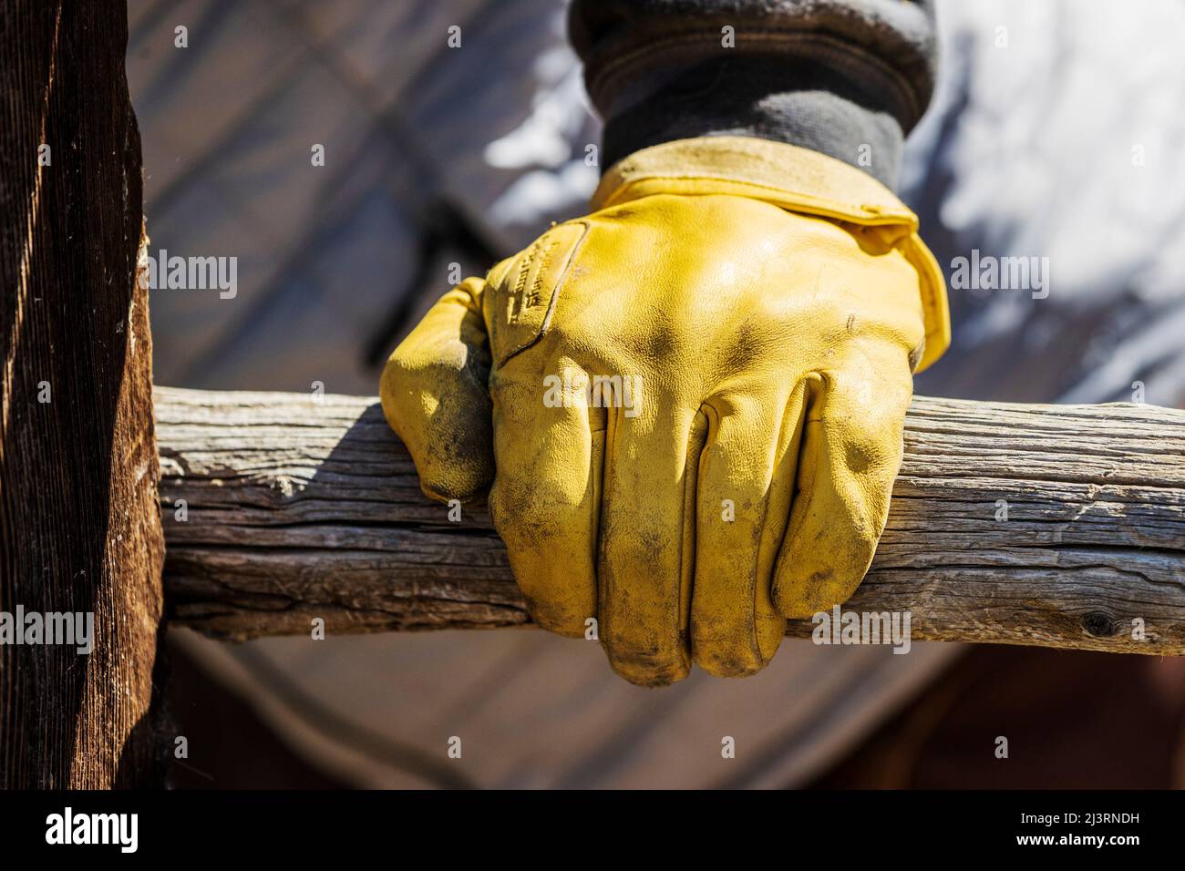 Close-up of cowboy's leather work glove on fence rail; spring branding on the Hutchinson Ranch near Salida: Colorado; USA Stock Photo